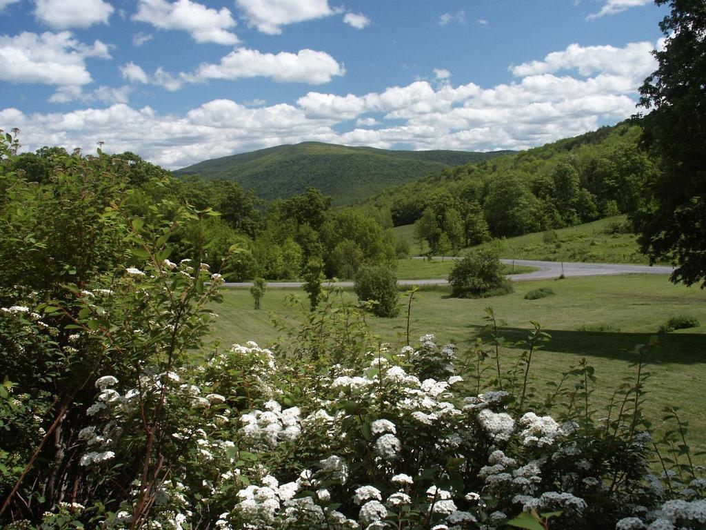 Margaretville Mountain Inn B&B Eksteriør bilde